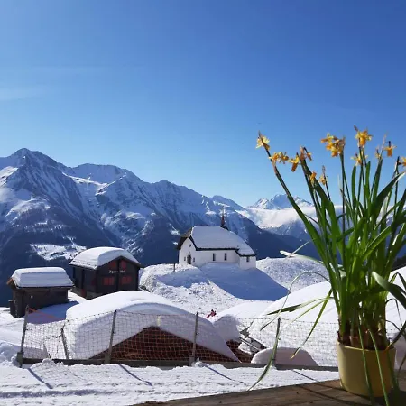 全景餐厅酒店 宾馆 贝特默阿尔卑